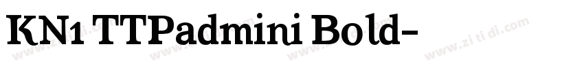 KN1 TTPadmini Bold字体转换